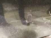 Waschwasserdüse Scheibenreinigung Ford C-MAX, 2003.01 - 2007.06 Gebraucht,