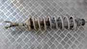 Fahrwerksfeder Hinterachse Rover 600, 1993.08 - 1999.02 Gebraucht,