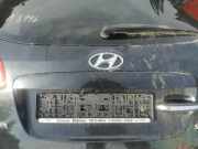 Kennzeichenleuchte Hyundai Santa Fe, 2006.03 - 2012.09 Gebraucht,