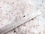 Motorhalterung und Getriebe (Motorhalterung) Audi A6, C5 2001.08 - 2005.01 facelift Gebraucht,