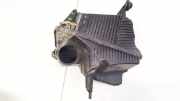 Luftfilterkasten Renault Scenic, II 2003.06 - 2006.06 8200378882,8200378884