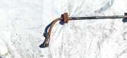 Stabilisator Vorne Peugeot 807, 2002.06 - 2012.05 Gebraucht,