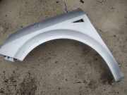 Kotfl?gel - Vorne Linke Renault Scenic, II 2003.06 - 2006.06 PILKAS,