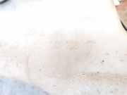 Scheibenwaschbehälter Vorne Wischwasserbehälter Renault Scenic, I 1999.09 - 2003.06 facelift 7701708171,