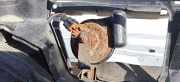Hupe Volvo S60, 2000.01 - 2005.01 Gebraucht,