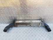 Ladeluftkühler Mercedes-Benz W202, 1993.03 - 2000.05 a2025001100,