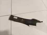 Schwellerverkleidung - Hinten Linke Nissan Qashqai, I 2006.01 - 2010.06 769B7JD000,769B7 JD000