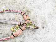 Kopfairbag - Vorne Rechts Honda Accord, 2003.02 - 2005.09 Gebraucht,