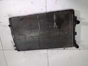 Wasserkühler Volkswagen Passat, B6 2005.08 - 2010.11 Gebraucht, BXE