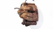 Bremssattel - Vorne Linke Lancia Phedra 2002 - 2006 6028,6028