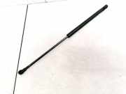 Gasfeder für Motorhaube Volkswagen Golf, IV 1997.08 - 2003.10 1J0823359, agr