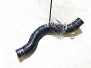 Kühlerschlauch Renault Scenic, II 2003.06 - 2006.06 Gebraucht,
