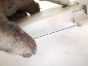 Innenspiegel Rückspiegel Volkswagen Passat, B5 1996.08 - 2000.11 e10110093, ATJ