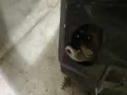 Türfangband Türbremse Türstopper - Hinten Linke Renault Megane, I 1999.03 - 2002.10 facelift Gebraucht,