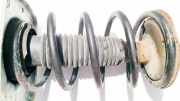Fahrwerksfeder vorne Citroen C8, I 2002.07 - 2008.06 Gebraucht,