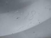 Kotflügel - Vorne Linke Subaru Legacy, BM, BR 2009.09 - 2014.06 baltas,