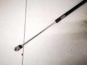 Gasdruckfeder Kofferraum Lexus IS, II 2005.10 - 2013.03 Gebraucht,