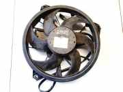 Kühlerlüfter Lüftermotor Citroen C5, II 2008.02 - 2011.01 Gebraucht,
