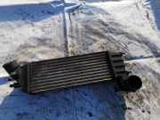 Ladeluftkühler Citroen C8, I 2002.07 - 2008.06 1489396080,