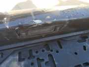 Kennzeichenleuchte Volkswagen Golf, V 2003.10 - 2008.10 Gebraucht, BXF