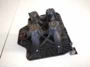 Batterieaufnahme Volkswagen Golf, IV 1997.08 - 2003.10 1j0804373e, ALH