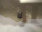 Waschwasserdüse Scheibenreinigung Mazda 5, CR 2005.02 - 2010.09 Gebraucht,