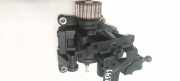 Kraftstoffpumpe Renault Kadjar, I 2015.01 - 2018.06 a6072300240,a6072300240