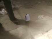 Waschwasserdüse Scheibenreinigung Volvo V70, I 1996.11 - 2001.01 Gebraucht,