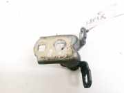 T?rscharnier Vorne Renault Megane, II 2002.11 - 2006.06 Gebraucht,