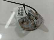 Türfanghaken Fanghaken Schliessbügel - Vorne Renault Grand Scenic, II 2009.02 - 2013.06 219250,219250 R9666