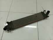 Ladeluftkühler Ford C-MAX, 2003.01 - 2007.06 Gebraucht,
