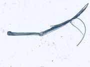 Windschutzscheibe Scheibenwischer Hyundai Lantra, 1990.10 - 1995.11 1951kwb,