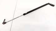 Gasdruckfeder Kofferraum Toyota Previa, 2000.02 - 2006.01 Gebraucht,