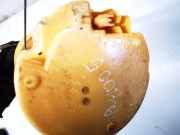 Kraftstoffpumpe Renault Modus I 2004.01 - 2007.12 Gebraucht,