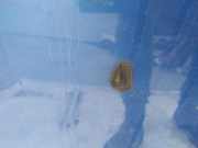 Waschwasserdüse Scheibenreinigung Chevrolet Kalos, 2005.03 - 2011.05 Gebraucht,