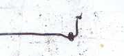 Stabilisator Stabi Hinten Hinterachse Hyundai Coupe, 2001.08 - 2009.08 Gebraucht,
