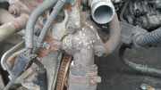Thermostat Honda Civic, 2006,01 - 2011.01 Gebraucht ,