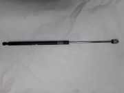 Gasdruckfeder Kofferraum Lexus IS, II 2005.10 - 2013.03 4ad25tfg5, 4ad25tfg5