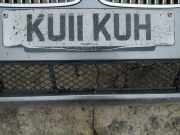 Kühlergrill - Vorne Center BMW 5-Series, F07F10 F11 2010.03 - 2016.12 Gebraucht,