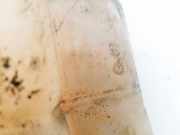 Ausgleichsbehälter Ford Focus, 2008.06 - 2011.04 facelift 3M5H8K218, 3M5H-8K218