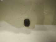 Waschwasserdüse Scheibenreinigung Subaru Forester, II 2002.06 - 2007.12 Gebraucht,