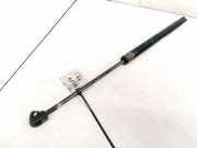 Gasdruckfeder Kofferraum Opel Omega, A 1986.09 - 1994.03 Gebraucht,