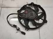 Kühlerlüfter Lüftermotor Peugeot 407, 2004.05 - 2010.12 Gebraucht ,
