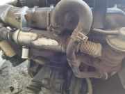 Abgask?hler AGR-K?hler Peugeot 307, 2000.08 - 2005.06 Gebraucht,