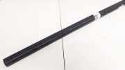 Dachreling Linke Ford Maverick, I 1993.01 - 1999.12 Gebraucht,