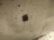 Waschwasserdüse Scheibenreinigung Volvo S40, 2000.07 - 2003.12 Gebraucht,