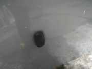 Waschwasserdüse Scheibenreinigung Ford Focus, 2004.11 - 2008.06 Gebraucht,