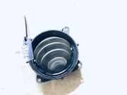 Lüftungsgitter Armaturenbrett Citroen C3, I 2002.02 - 2005.06 18m6219,8362