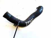 Kühlerschlauch Volkswagen Passat, B6 2005.08 - 2010.11 Gebraucht, BMA