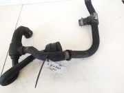 Kühlerschlauch Citroen C8, I 2002.07 - 2008.06 Gebraucht,